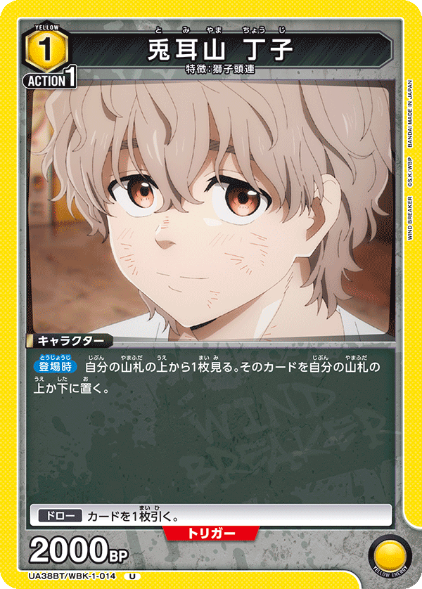 UA38BT/WBK-1-014 Choji Tomiyama