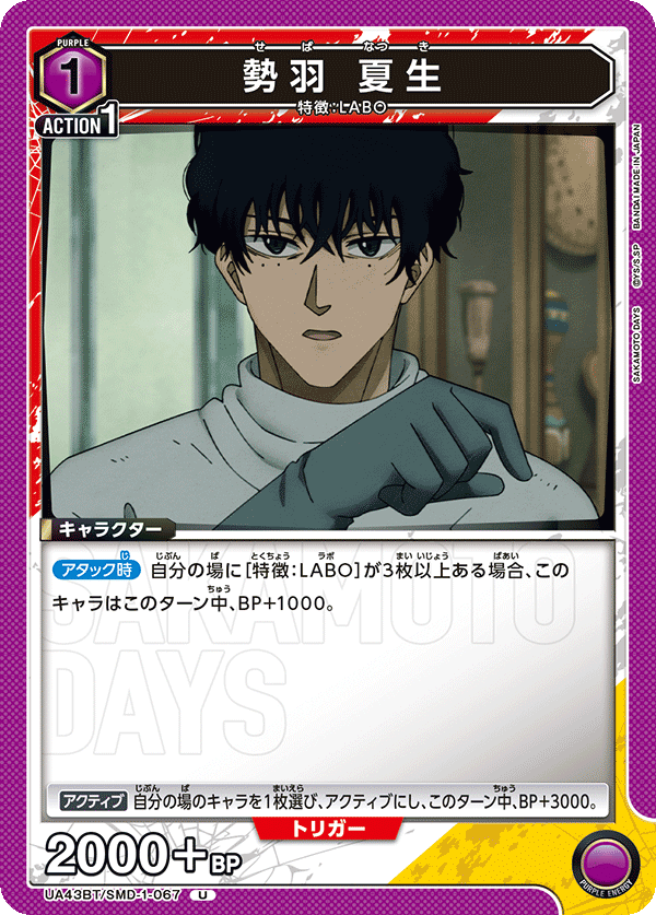 UA43BT/SMD-1-067 Seba Natsuki