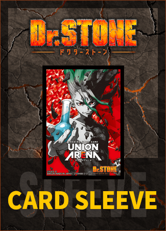 CARD SLEEVE