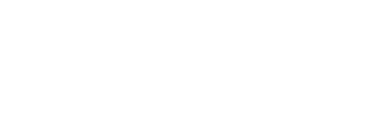 Overcame enemies with the power of bonds!