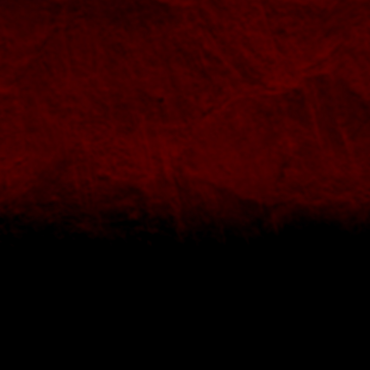 ユニオンアリーナ｜UNION ARENA