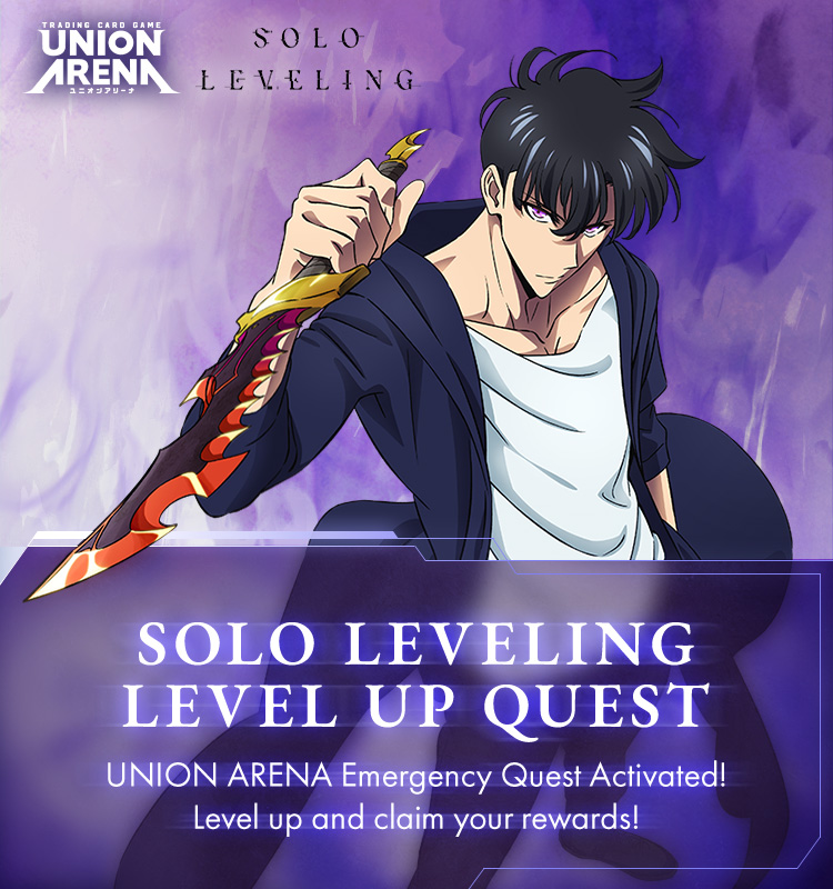 SOLO LEVELING LEVEL UP QUEST