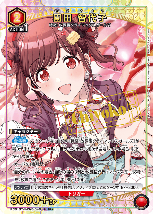 PC01BT/IMS-3-048 園田智代子